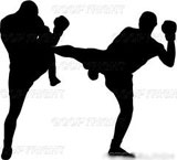 Kickboxing em Vitória