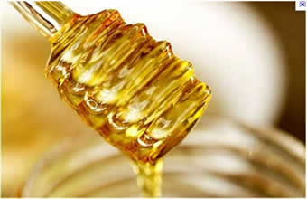 Apiário Moxuara - Foto 1