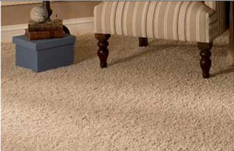 Nobrepiso Carpetes de Madeiras - Foto 1