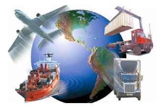Marfish Brasil Importação e Exportação - Foto 1