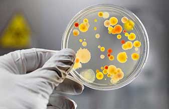 Carlos Urbano Gonçalves Ferreira Junior - Foto 1