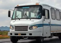 transporte gratuito