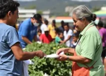 Governo na Rua
