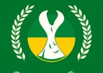 brasileirão série d
