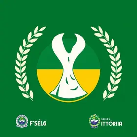 brasileirão série d