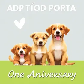 Portal de Adoção