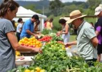 Feira Sabores da Terra
