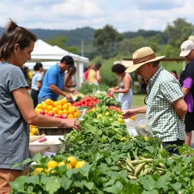Feira Sabores da Terra