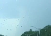 alerta amarelo de tempestade