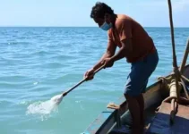 saúde dos pescadores