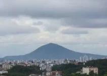 mutirão de negociação de dívidas