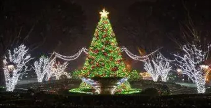 Natal de Encantos