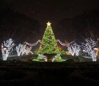 Natal de Encantos