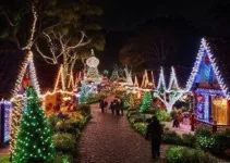 Natal na Praça do Papa