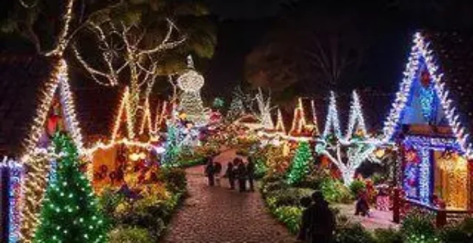 Natal na Praça do Papa