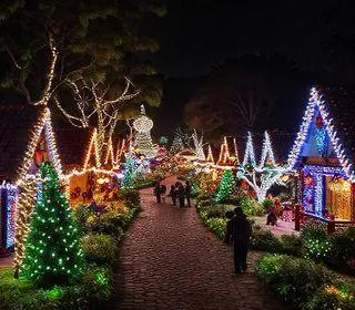 Natal na Praça do Papa