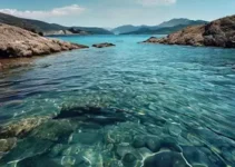cor da água em praias de Vitória e Vila Velha