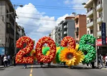 blocos de rua