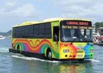 ônibus e aquaviário carnaval vitória