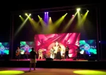 Show de Jeito Moleque e exposições