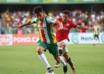 brasileirão série d