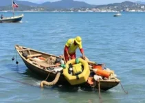 limpeza da baía de vitória