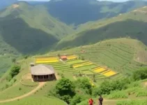 Turismo do Bem