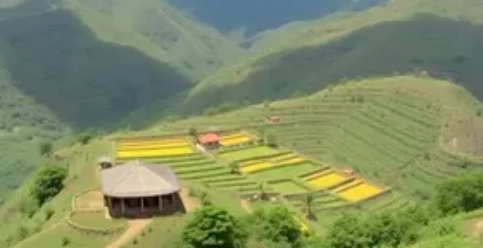 Turismo do Bem