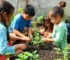 educação ambiental