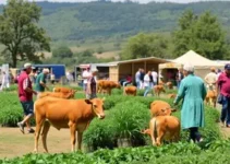 Feira Sabores da Terra
