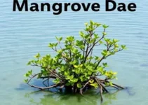 Dia Mundial do Manguezal