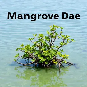 Dia Mundial do Manguezal