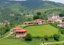 projetos selecionados