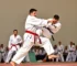 Mundial de Karatê em Vitória